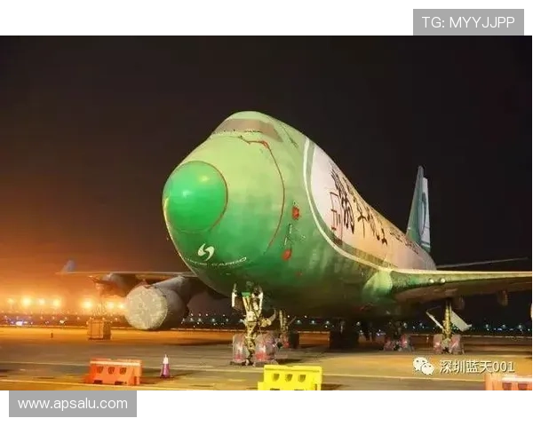 波音平台的环境可持续发展策略与绿色航空技术实践